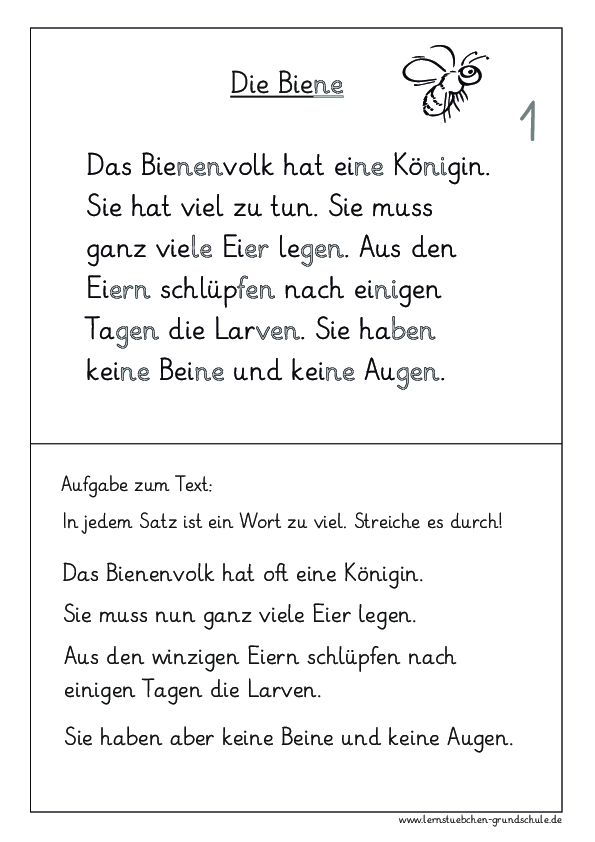 die Biene - Aufgaben zum Text.pdf
